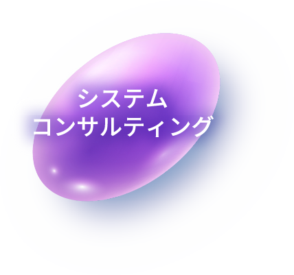 システムコンサルティング