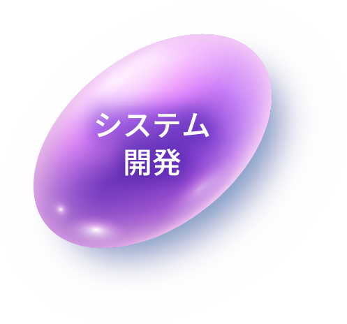 システム開発