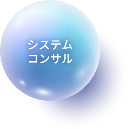 システムコンサル
